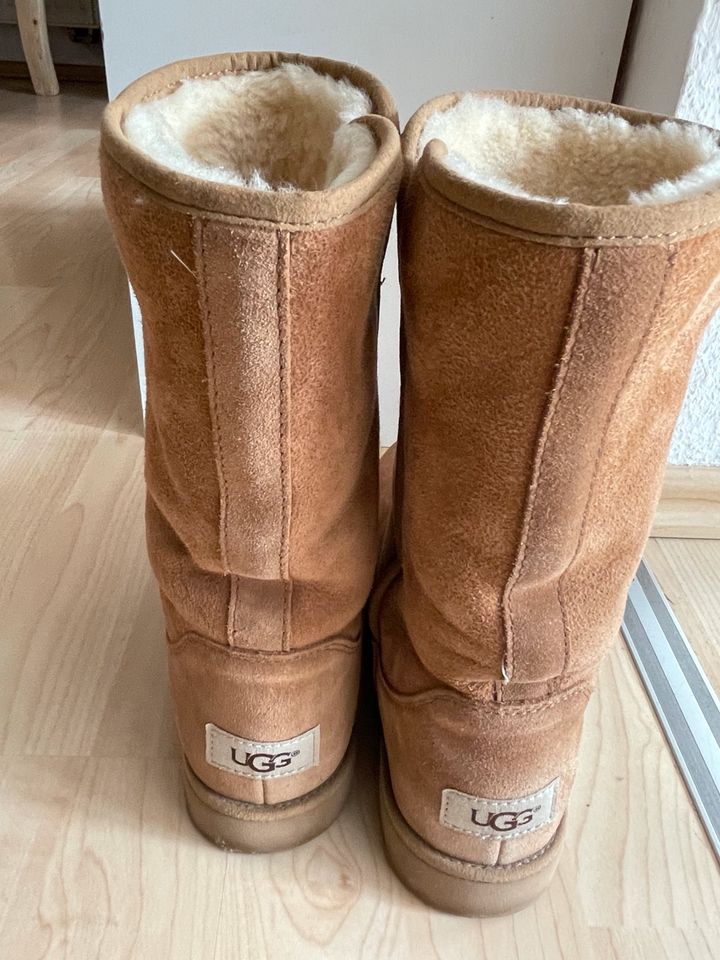 UGG wunderschöne Wildlederstiefel, gefüttert, Chestnut Größe 38 in Rodgau