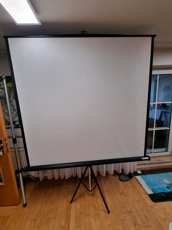 Profi Leinwand in Baienfurt