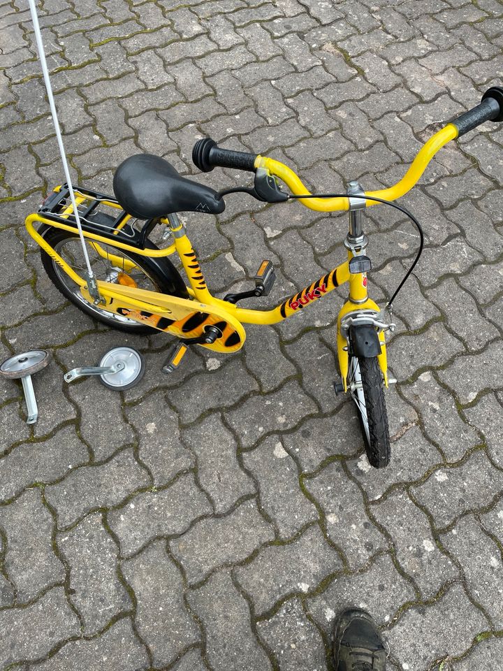 Puky 16 Zoll Kinderfahrrad in Mespelbrunn