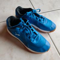 Puma Hallenschuhe/ Fußball ⚽ Halle Größe 37 Baden-Württemberg - Kohlberg Vorschau