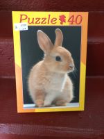 Puzzle Kaninchen 40 Teile Bayern - Neustadt Vorschau