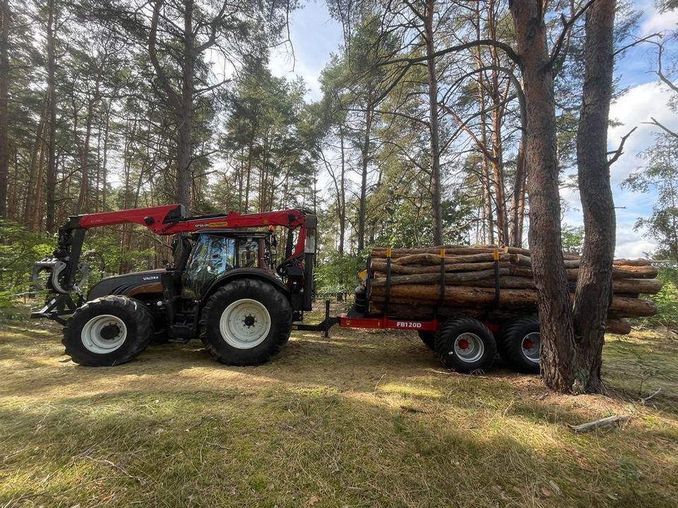 Rückewagen ohne Kran FB120D FTG Källefall 16to in Schlettau