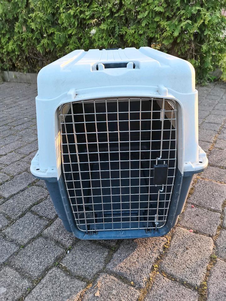 Transportbox für große Hunde in Südharz