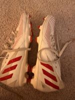 Adidas Predator Duisburg - Walsum Vorschau