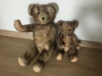 Original PETZ Teddybären Freiburg im Breisgau - Feldberg Vorschau