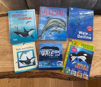 Bücher-Set „Wale & Delfine“ alles über Wale, Orcas und Delfine Bayern - Oberostendorf Vorschau