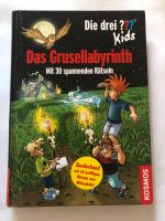 Die drei ??? Kids Das Grusellabyrinth 9783440130285 Nordrhein-Westfalen - Salzkotten Vorschau