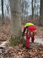 Motorsägenkurs, Kettensägenschein  ab September Mecklenburg-Vorpommern - Blankenhof Vorschau