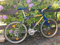 92'er Giant Cadex CFM 2, fast NOS, Shimano XT, Campagnolo, retro Sachsen - Olbernhau Vorschau