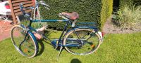 Gazelle Herren Hollandrad Fahrrad 28 Zoll Modell Sport blau Nordrhein-Westfalen - Rheine Vorschau