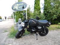 Skyteam SkyBongo ST125-8 Euro 5 Neufahrzeug, Honda Gorilla Replik Niedersachsen - Delmenhorst Vorschau