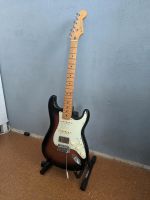 Fender Stratocaster (PLAYLER PLUS) Guter Zustand Niedersachsen - Nordenham Vorschau