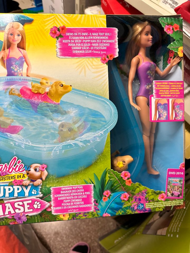 Barbie Pool Hund Welpe Schwimmen in Dinslaken