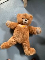 Original Steiff Teddy groß  60 cm neu Etikett Weihnachten Sammler Niedersachsen - Vrees Vorschau