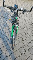 Fahrrad  Pegasus Avanti Nordrhein-Westfalen - Bottrop Vorschau