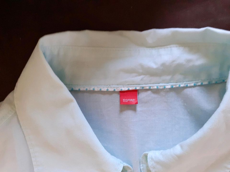 taillierte Bluse von Esprit lindgrün  Gr L Baumwolle in Dreieich