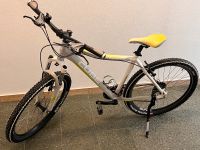 Damen MTB Cube WLS 19" 24 Gang Nordrhein-Westfalen - Hagen Vorschau