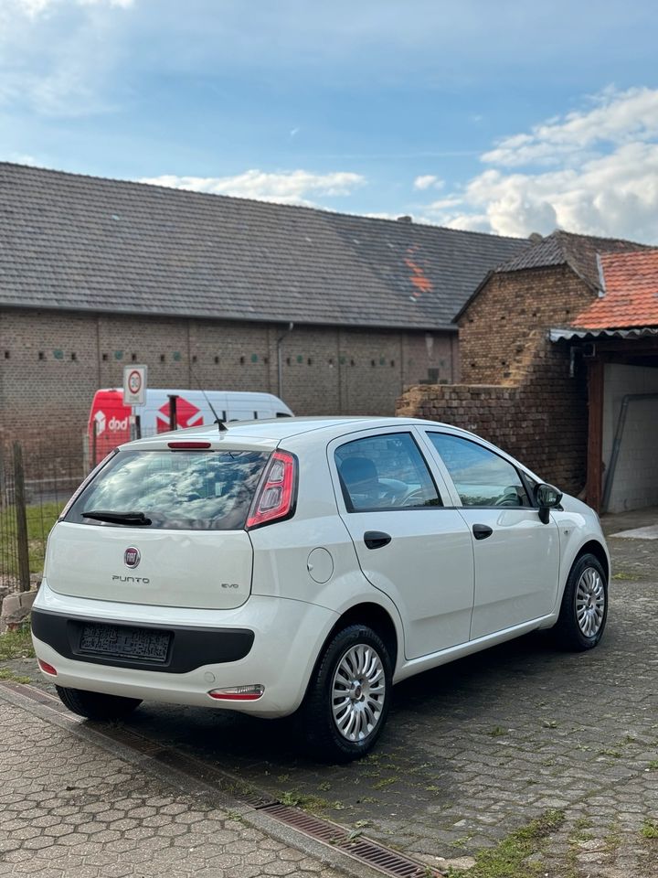 Fiat Punto Mit Neu Tuv.1 Hand. Klimaange in Erftstadt