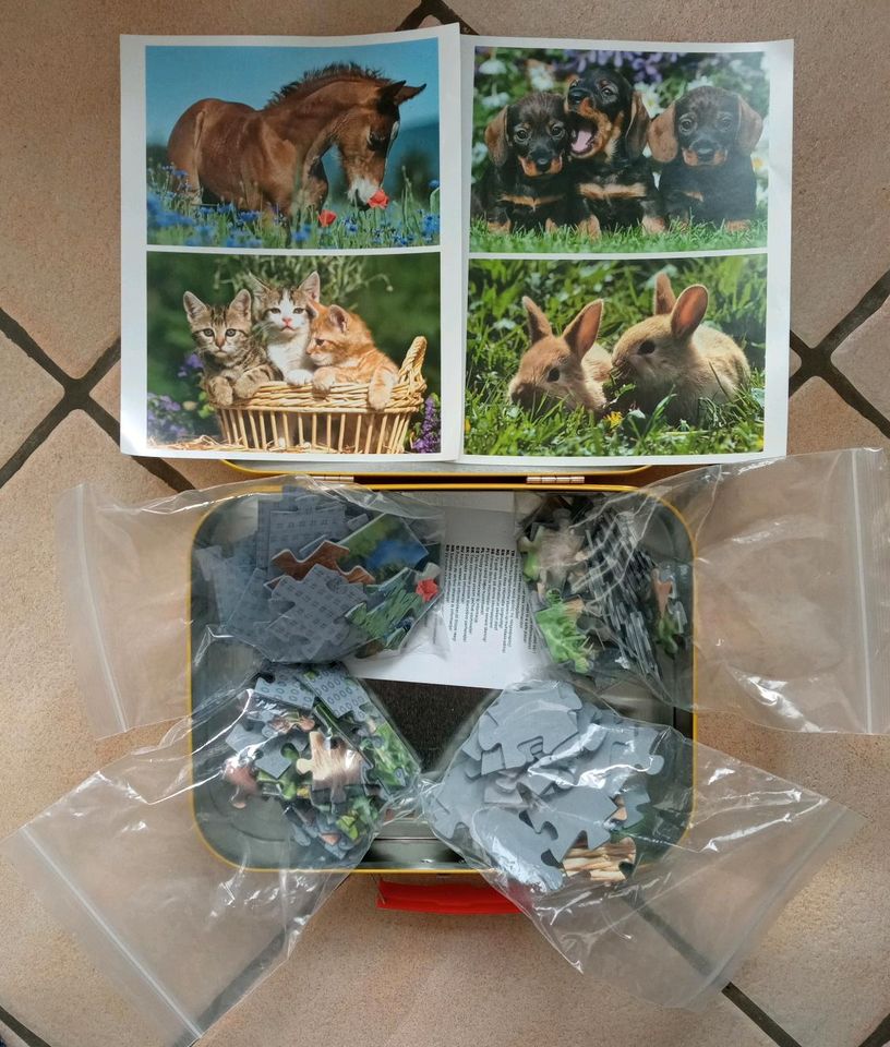 Tier-Puzzle Box Metall-Koffer (Pferd, Katzen, Hundewelpen, Hasen) in Euskirchen