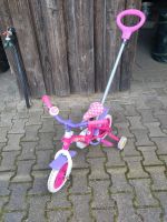 Kinder Fahrrad Dreirad mit Schiebestange Niedersachsen - Bispingen Vorschau