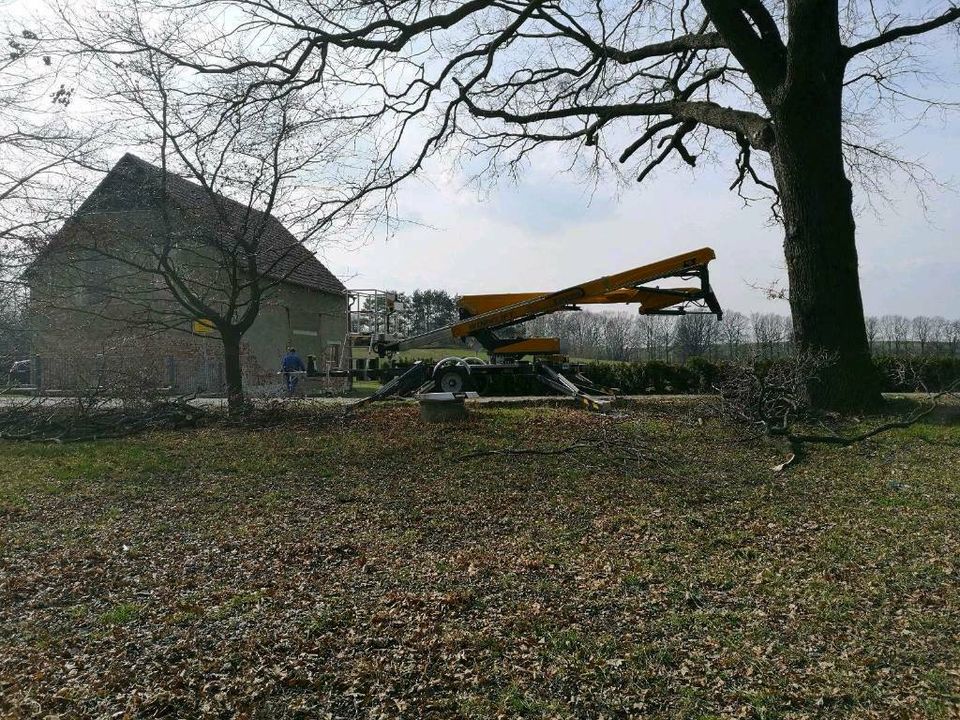 Hebebühne/ Hubsteiger/ GT21A / Paus / Sachwertinvestition in Panschwitz-Kuckau