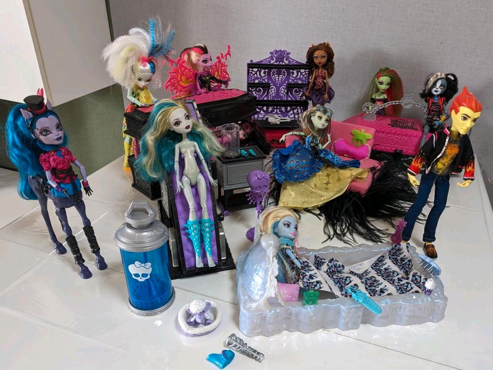 Monster High Konvolut , Sammlung in Mühlhausen