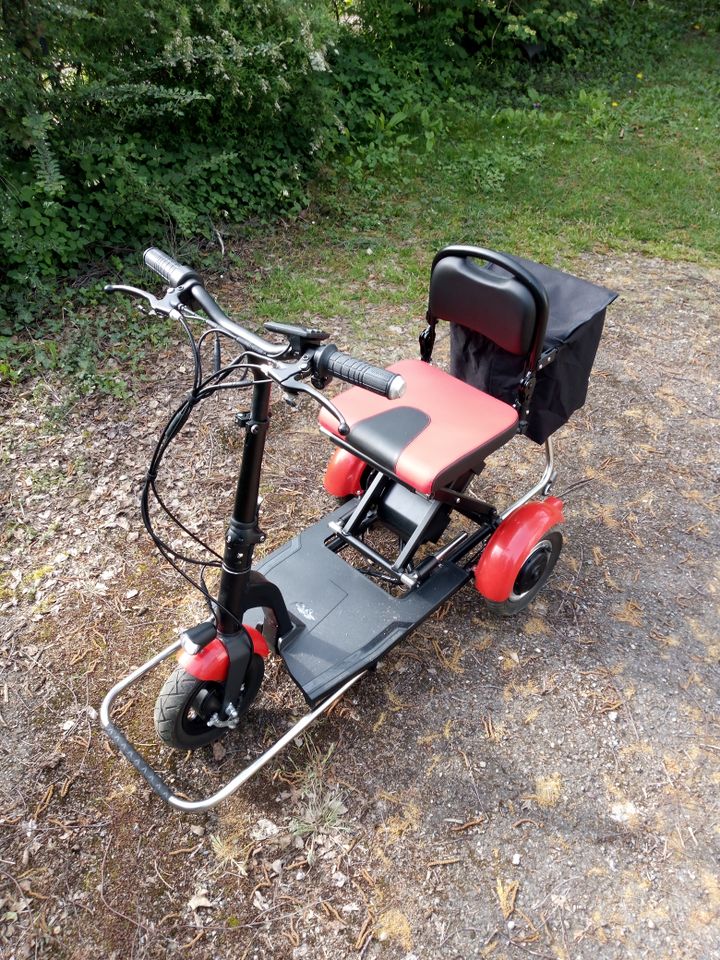 Elektromobil Scooter MoBot 3-Rad Mobilitätshilfe, Seniorenmobil in Göppingen