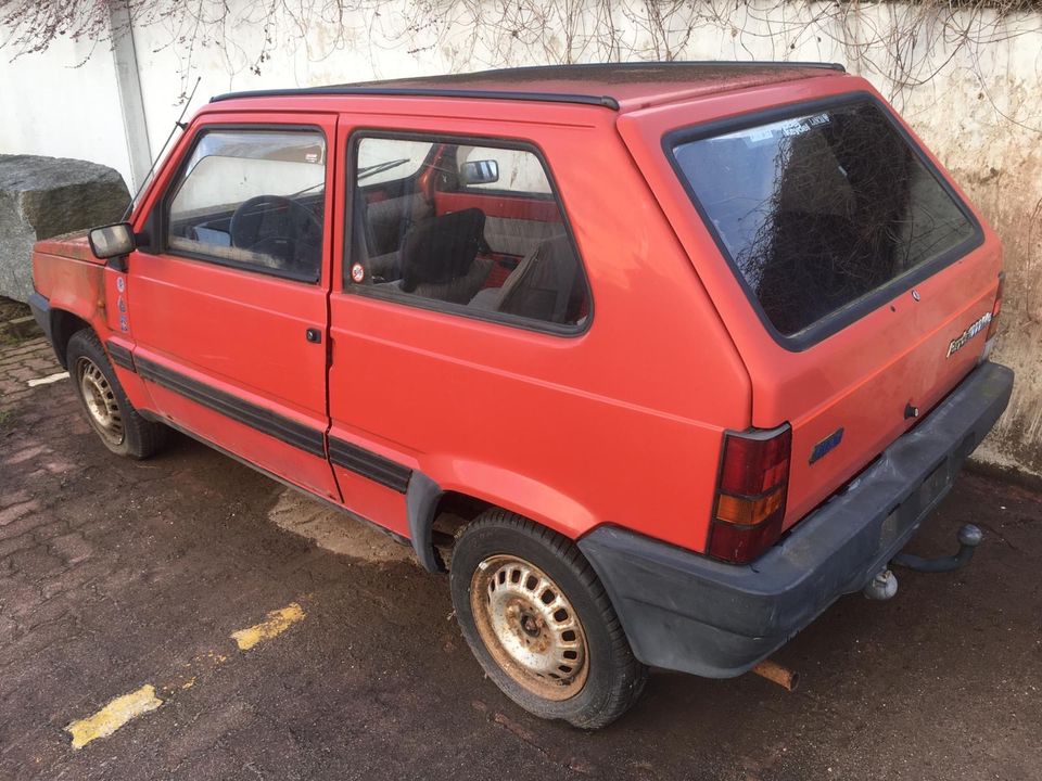 Fiat Panda in Mansfeld