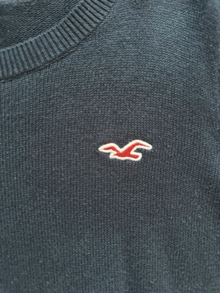 Hollister Strickpulli Gr. L in blau zu verkaufen! in Großenkneten