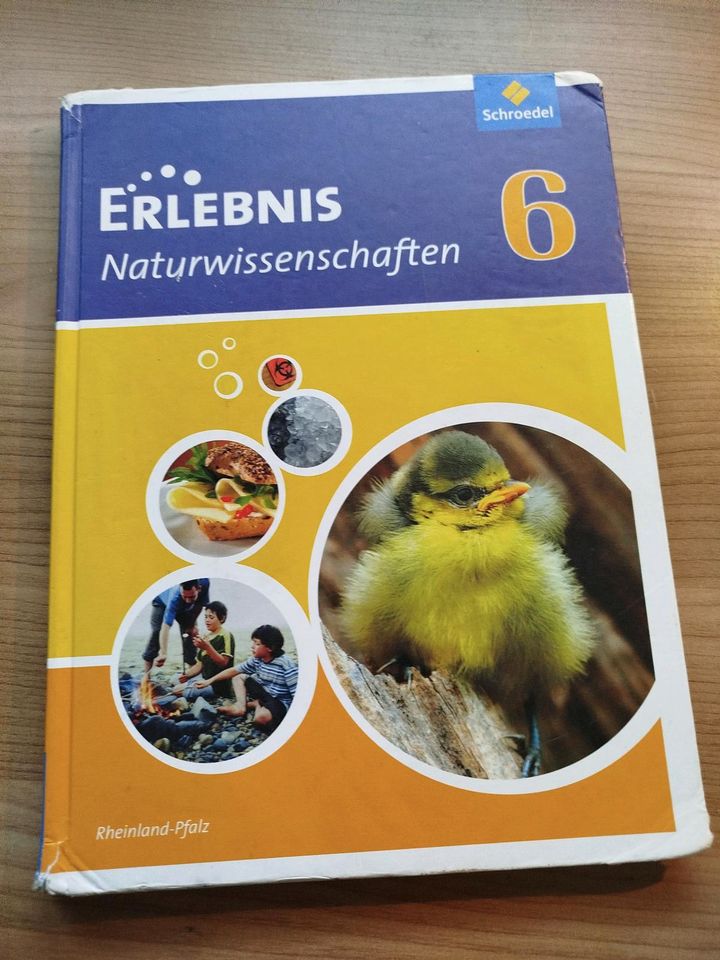 Erlebnis Naturwissenschaften 6 in Ottersheim