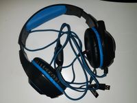 Headset PC Sachsen-Anhalt - Schönebeck (Elbe) Vorschau