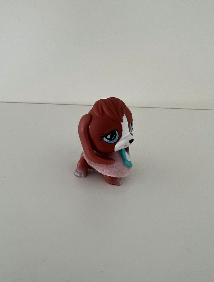 Littlest Pet Shop Hund Beagle #567 Spielfigur Sammelfigur LPS in Hanau