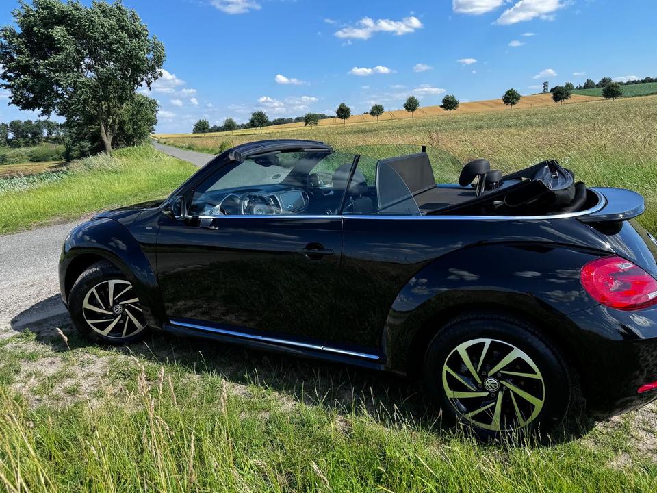 VW Beetle ALLSTAR Cabrio ☀️Navi☀️PDC☀️Kamera☀️Teilleder in Syke