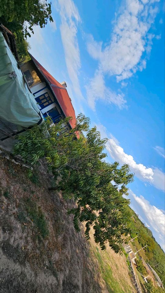 Haus mit Grundstück und Tiere wochnungen in Taufkirchen München