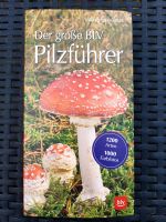 Der große BLV Pilzführer 1200 Arten, 1000 Fotos Sachsen - Reichenbach (Oberlausitz) Vorschau