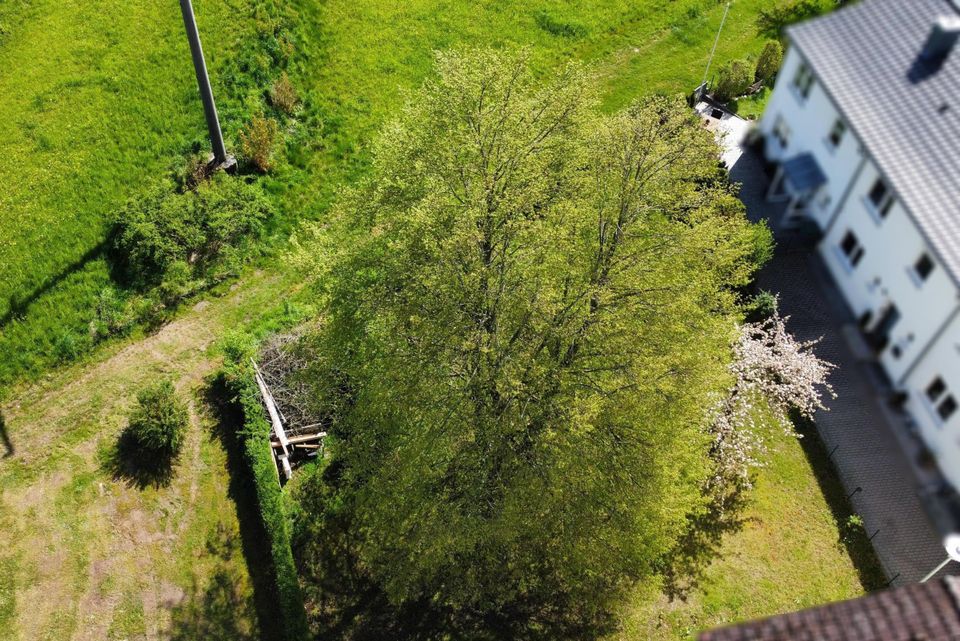 Baugrundstück in beliebter und naturnaher Südhang-Lage in Dinkelsbuehl