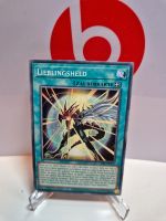 Yu-Gi-Oh Lieblingsheld Baden-Württemberg - Aalen Vorschau