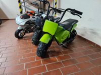 Eco Flee 300W 24V 6,5 Zoll 2-Stufen Drossel Elektro Bike Rheinland-Pfalz - Bad Breisig  Vorschau