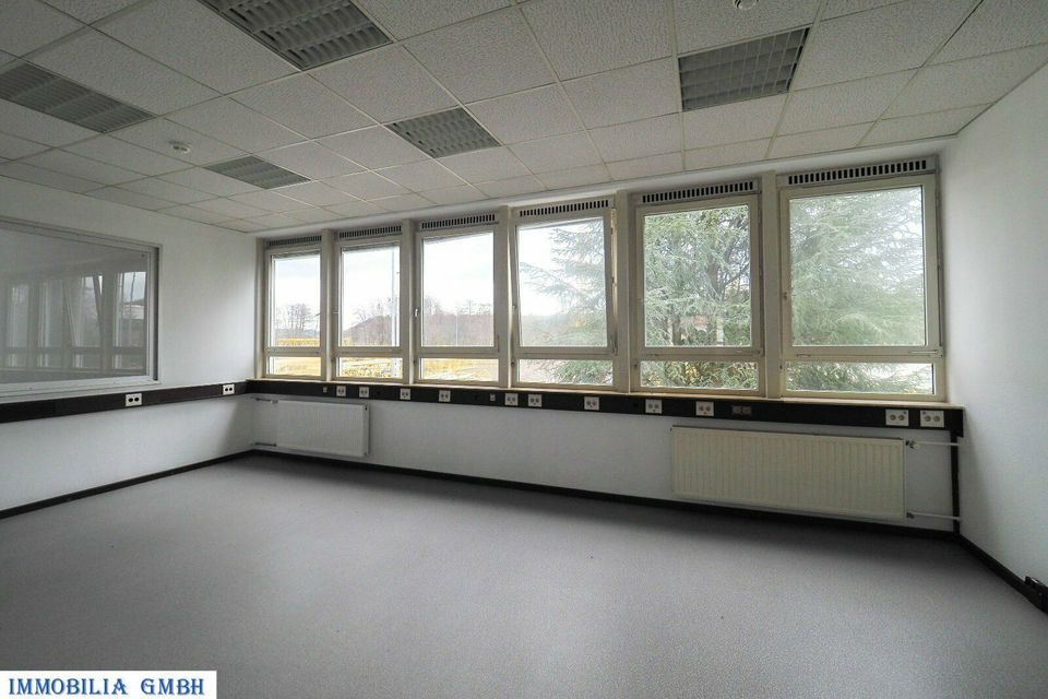 INDUSTRIEKOMPLEX - Lagerhalle/Produktionshalle mit Büroflächen im Biosphären Reservat Bliesgau in Zweibrücken