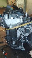 Motor Renault Trafic 2.0 M9RV710 M9R710 bj21 5tkm komplett Rheinland-Pfalz - Waldalgesheim Vorschau