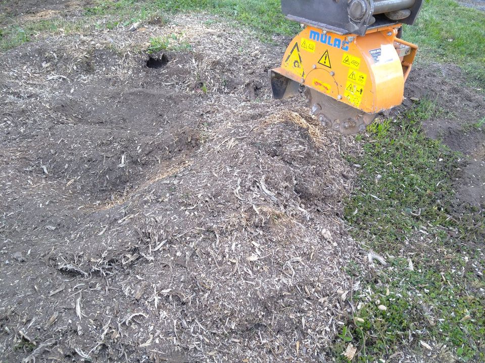 Wurzelstockfräsen Stubbenfräsen Baumstumpf enfernen Fräsen Bagger in Bonndorf