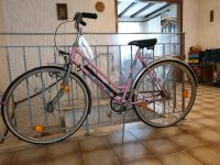 Fahrrad Damen rosa 3 Gang, 28er. Hessen - Bad Schwalbach Vorschau