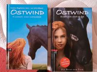 Ostwind..das Buch zum Film 2 Stück Brandenburg - Wandlitz Vorschau