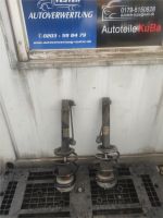 Originale Federbeine BMW E46 vorne 31316750791  31316750792 Duisburg - Hamborn Vorschau