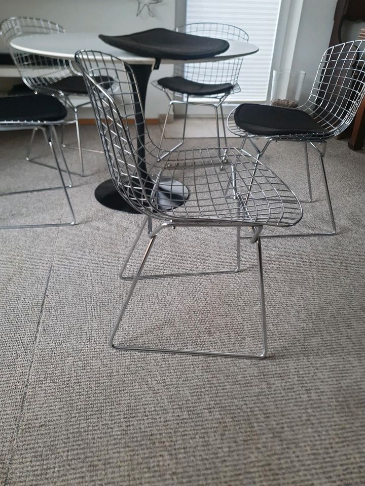 Knoll Bertoia 5 Stühle mit Sitzkissen und Tisch (Sarinen) in Ahrensbök