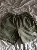 The north face shorts Baden-Württemberg - Backnang Vorschau