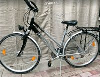 Alu 21-Gang Damenfahrrad Pegasus Rimini S Baden-Württemberg - Grafenau Vorschau