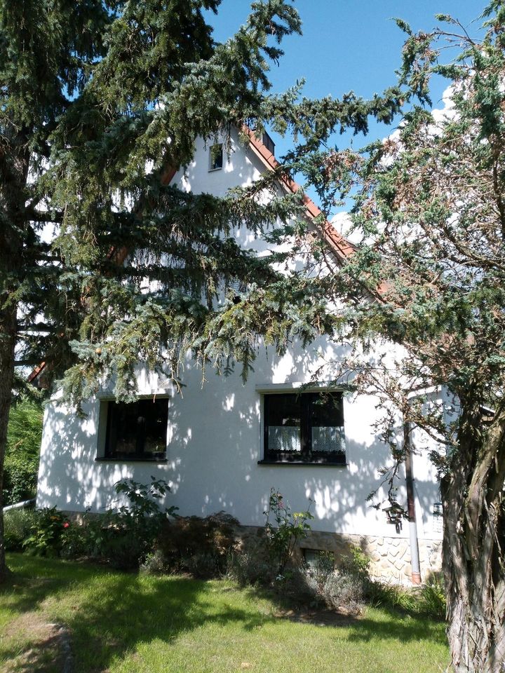 einfamilienhaus mit idyllischem garten, provisionsfrei in Weimar