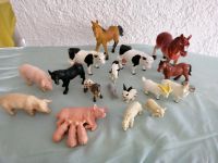 17 Spielfiguren Bauernhof von Hartung, No Name und Schleich Baden-Württemberg - Königsbach-Stein  Vorschau