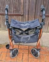 Rollator aus Aluminium Berlin - Köpenick Vorschau